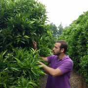 Biomega field support Biomega field support