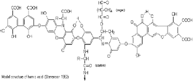 Humic Acid Model Structure Humic Acid Model Structure